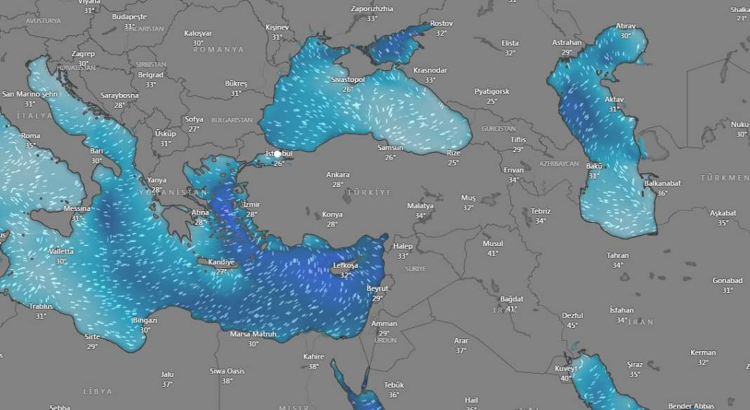 İstanbullular bu saatlere dikkat! Meteoroloji ve Valilik peş peşe uyardı - Resim: 4
